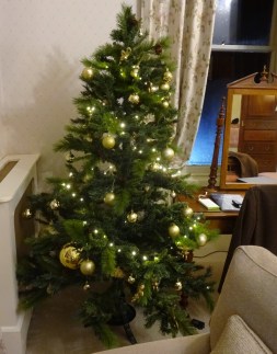 DSC00690 (1253x1600).jpg