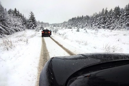 DSC00740 (1600x1067)