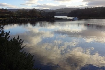 DSC00886 (1600x1067)