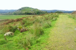 DSC03168 (1600x1067)