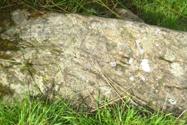 DSC03209 (1600x1067)