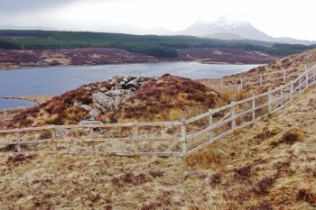 DSC00685 (1600x1067)