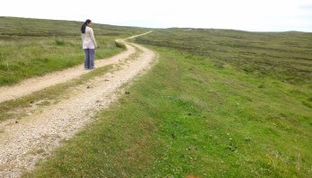 P1030644 (1600x1067)