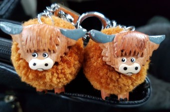 WhatsApp Image 2018-03-31 at 13.44.20 (1600x1200)