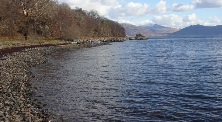 DSC00766 (1600x879).jpg