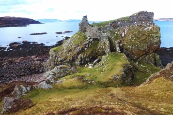 DSC00783 (1600x1067).jpg