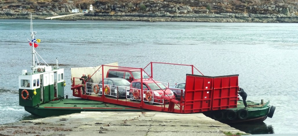 DSC00800 (1600x732).jpg