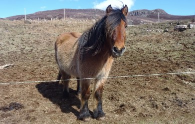 DSC00876 (1600x1020)