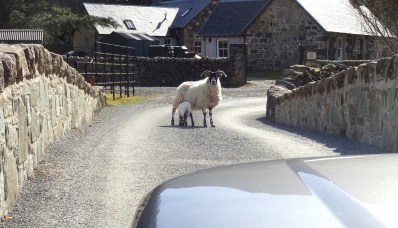 DSC00884 (3000x1726)