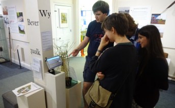 DSC01431 (1600x989).jpg