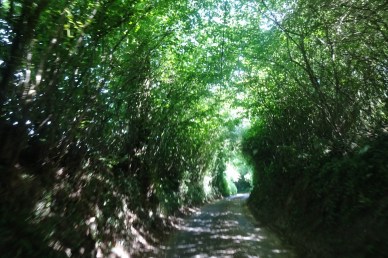 DSC01463 (1600x1068).jpg