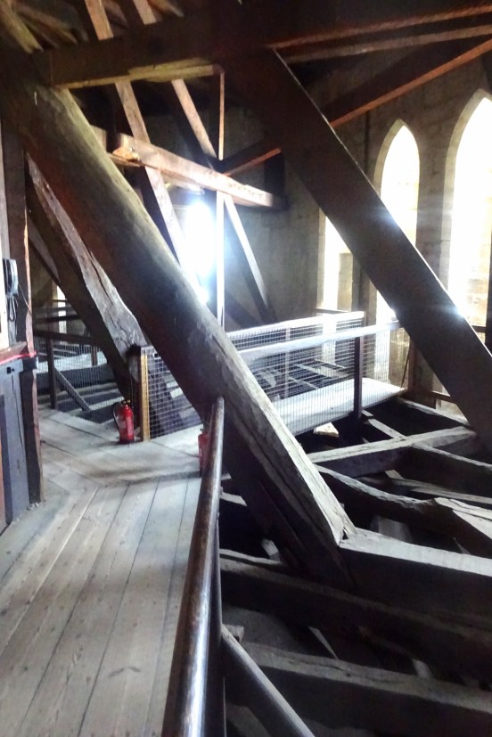 DSC02146 (1067x1600).jpg