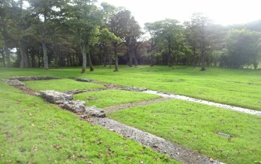 DSC03309 (1600x1010)