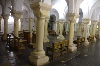 DSC01945 (1600x1067)